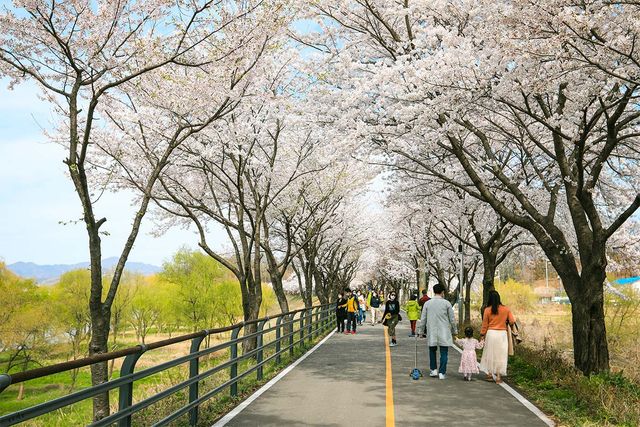 출처 한국관광공사
