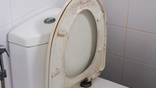 더러운 변기 자료 사진. / MarutStudio-shutterstock.com