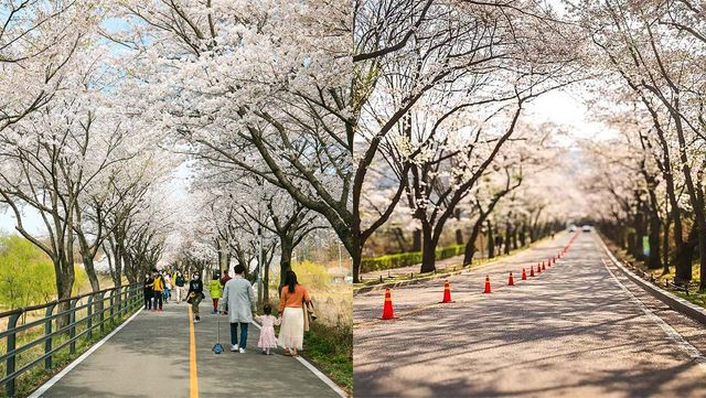 출처 용인시청, 한국관광공사
