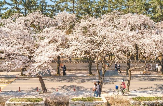 2026 경주 대릉원돌담길 축제. / 한국관광공사