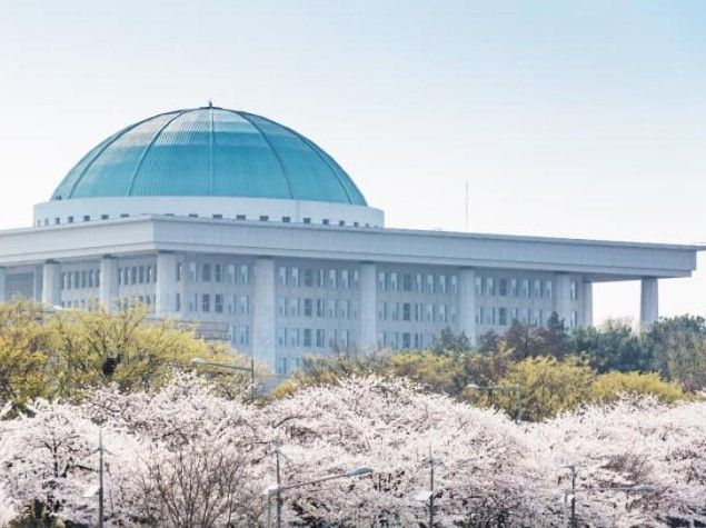 영등포 여의도 봄꽃축제. /&nbsp;서울관광재단
