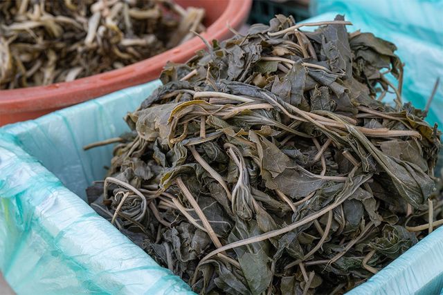 Jinroo-shutterstock.com