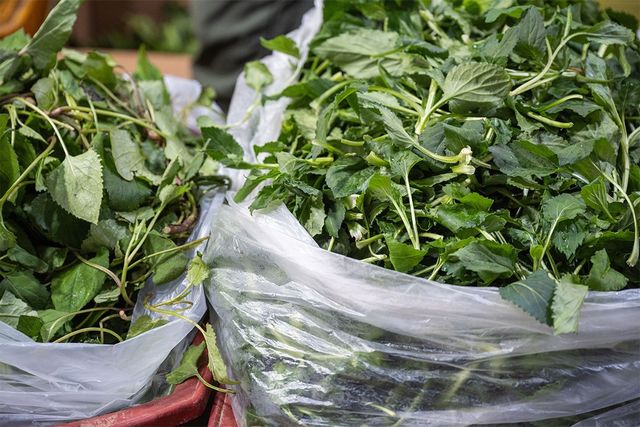 Jinroo-shutterstock.com