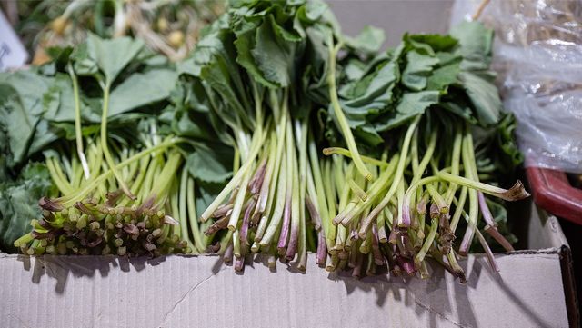 Jinroo-shutterstock.com