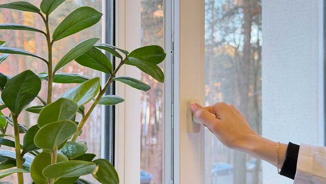 환기를 하려고 손을 뻗고 있다. / NadyaTk-shutterstock.com