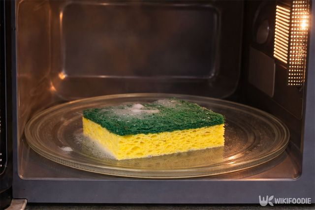 수세미를 전자레인지에 넣은 모습. / 위키푸디