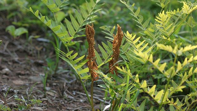 국립생물자원관