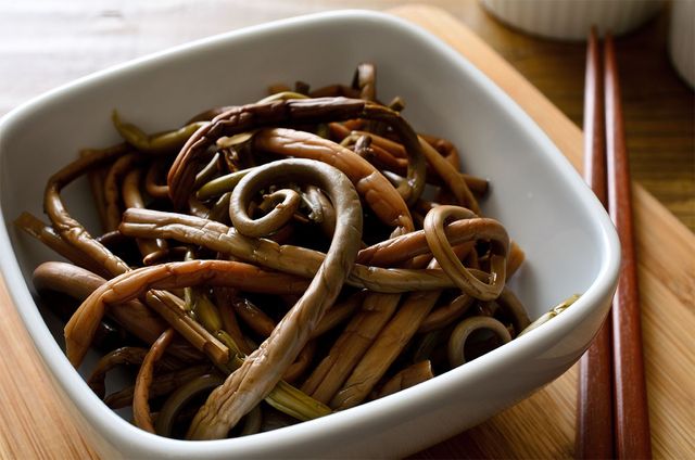 Nutria3000-shutterstock.com