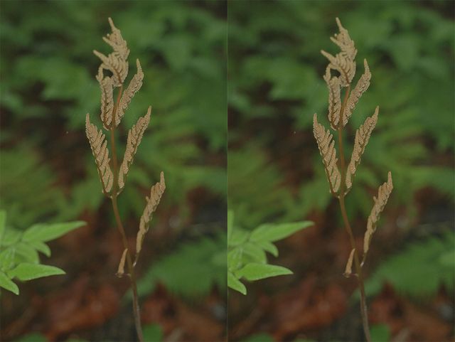 국립생물자원관