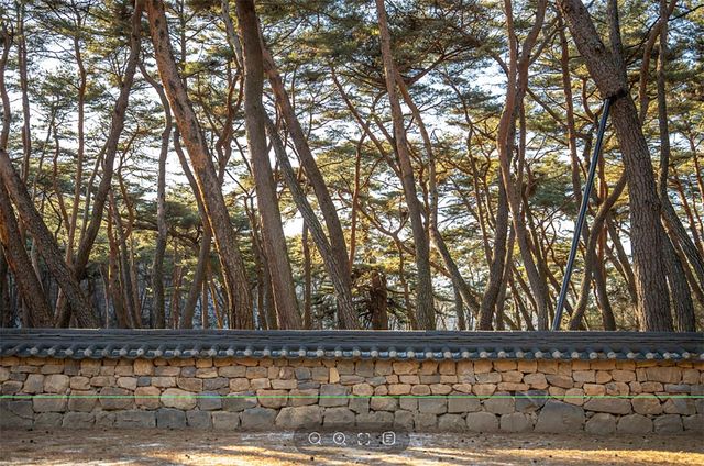 출처 영월군 블로그