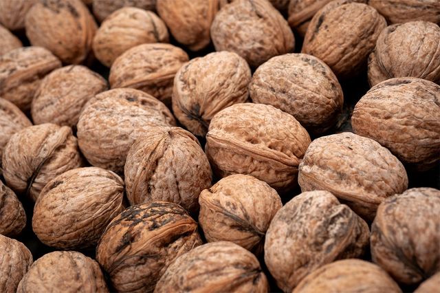 RUM-photo-shutterstock.com