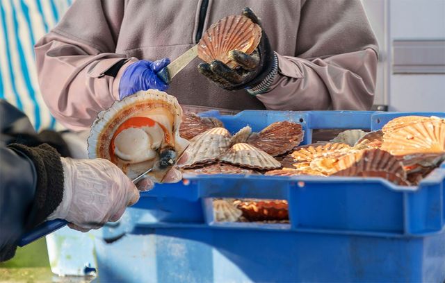 kipgodi-shutterstock.com