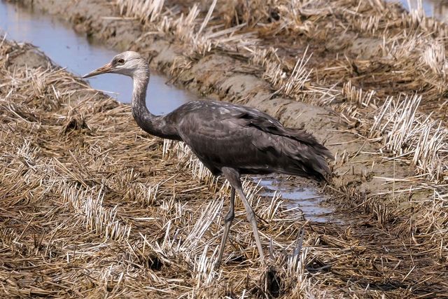국립생물자원관