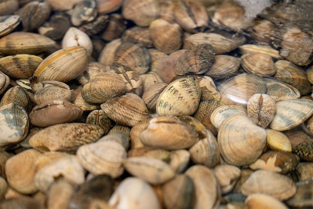 Erman Gunes-shutterstock.com