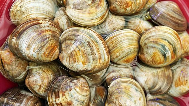 Lee ji youn-shutterstock.com