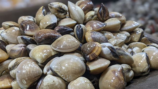 Reniar Ka-shutterstock.com