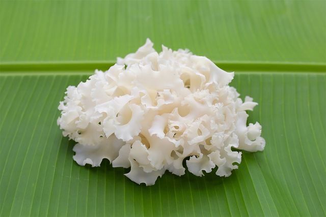 Bowonpat Sakaew-shutterstock.com