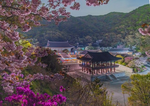 출처 충남 문화 관광