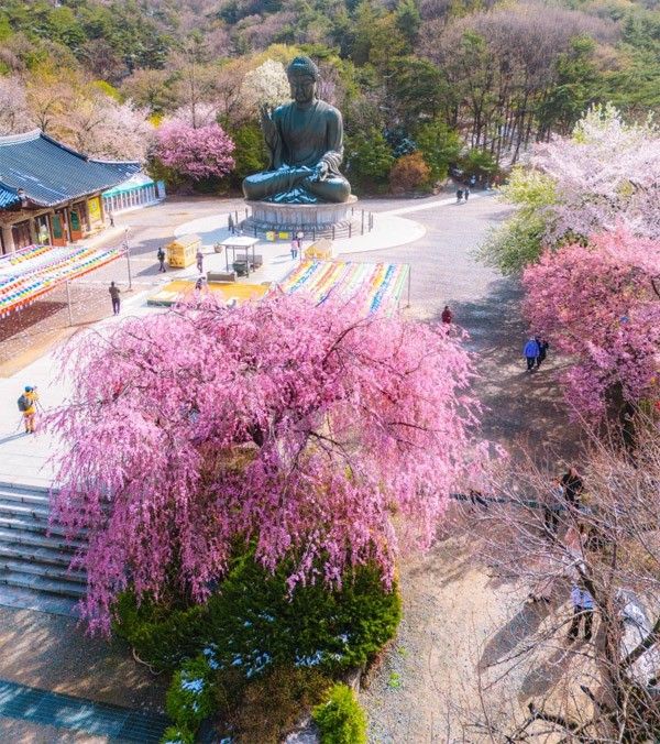 출처 충남 문화 관광