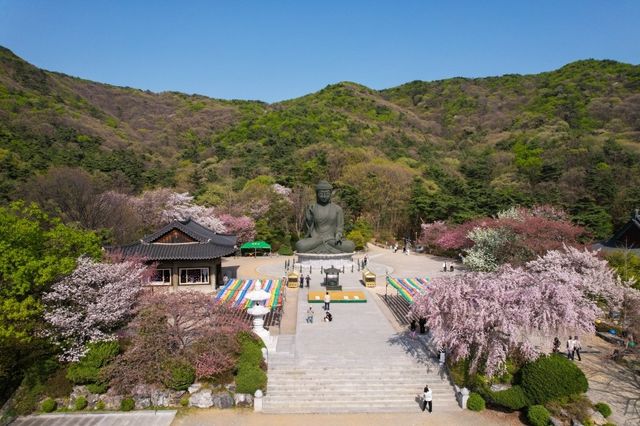 출처 충남 문화 관광