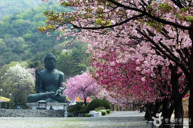 출처 한국관광공사