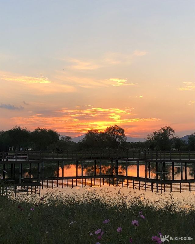 화명생태공원 전경. / 위키푸디