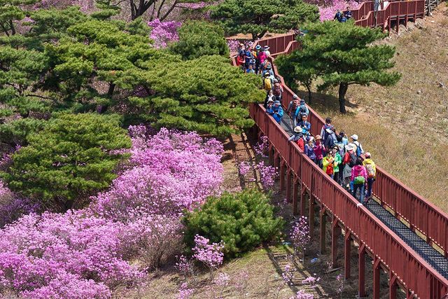 JIPEN-shutterstock.com