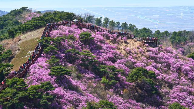 JIPEN-shutterstock.com