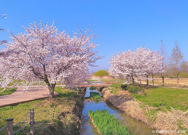 출처 한국관광공사