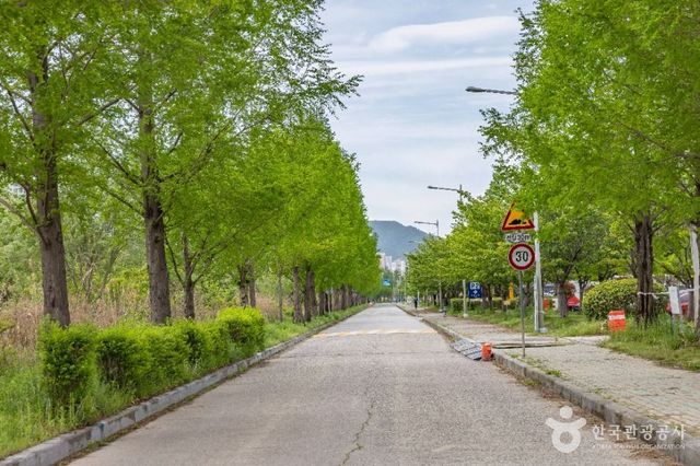 출처 한국관광공사