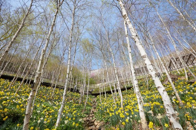 출처 업체 등록 사진