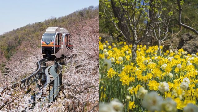 출처 업체 등록 사진, 화담숲 공식 홈페이지