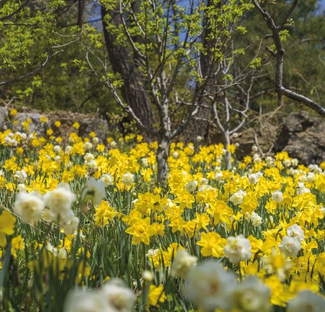 출처 화담숲 공식 홈페이지