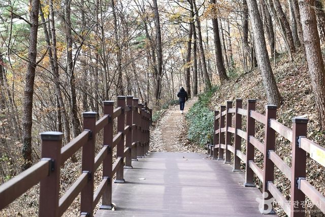 출처 한국관광공사