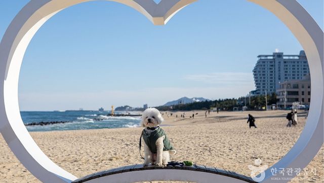 출처 한국관광공사