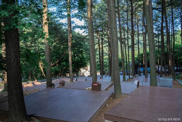 출처 한국관광공사