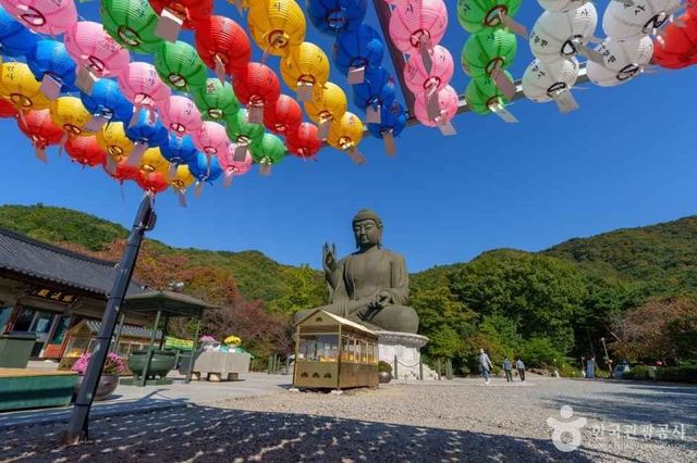 출처 한국관광공사