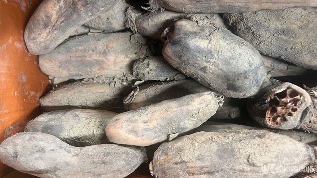 직접 찍은 연근 사진. / 위키푸디