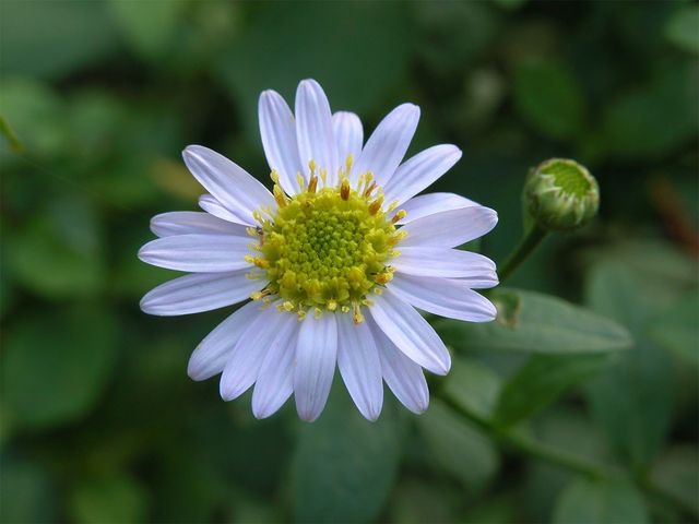 국립생물자원관