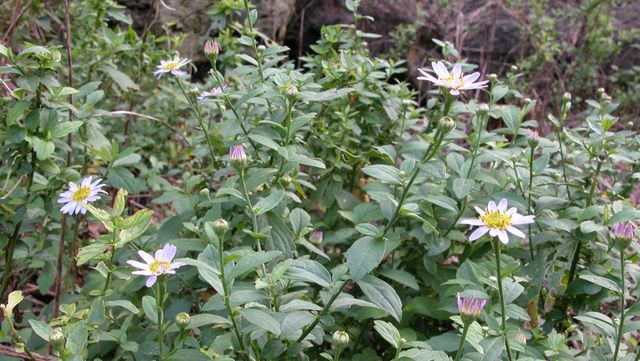 국립생물자원관