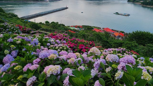 출처 업체등록사진