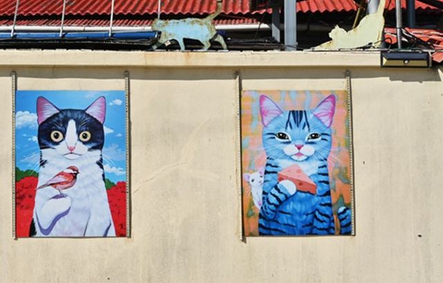 출처 쑥섬 공식 홈페이지