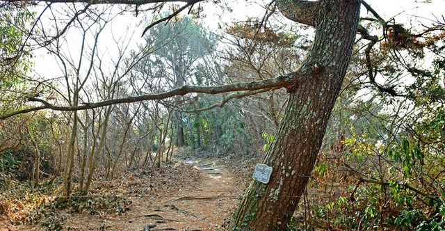 출처 쑥섬 공식 홈페이지