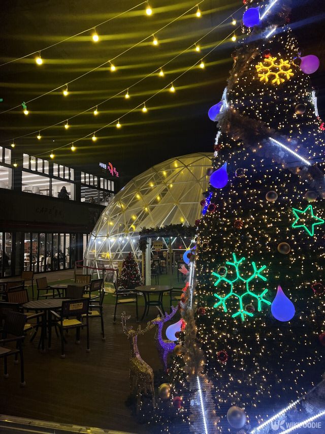 밤에 카페 폭포에서 찍은 사진. / 위키푸디