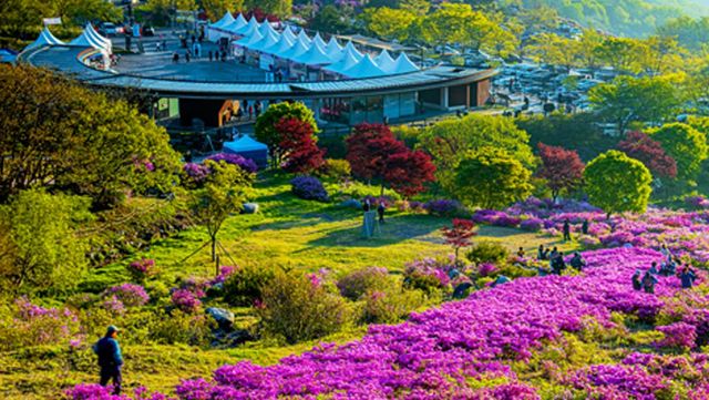 황매산군립공원. / 황매산 군립공원 제공
