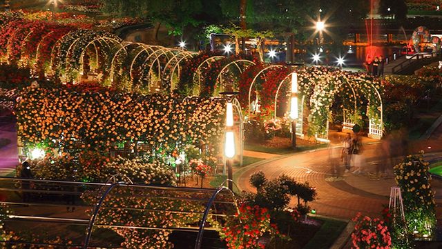 출처 곡성문화관광