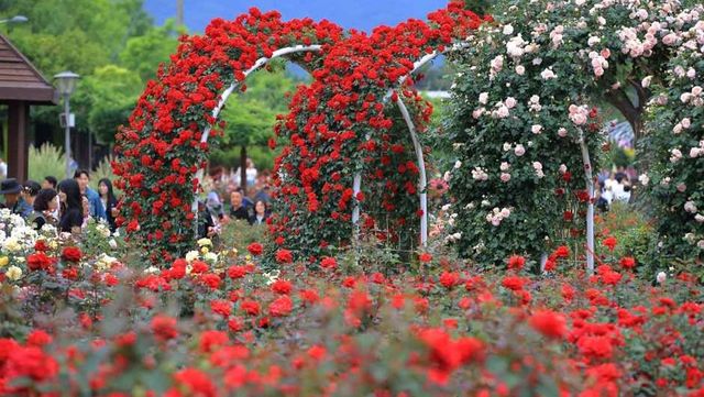 출처 한국관광공사