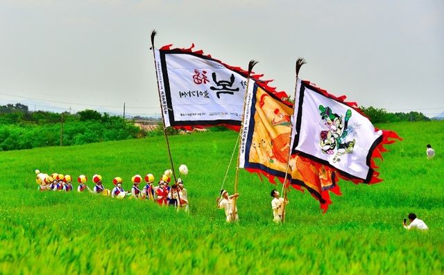청보리밭 위로 농악 깃발과 행렬이 지나가는 전통 공연 장면&nbsp;/ 한국관광공사