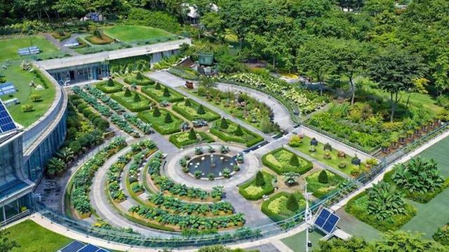 신구대학교식물원 봄 풍경 / 신구대학교식물원 홈페이지