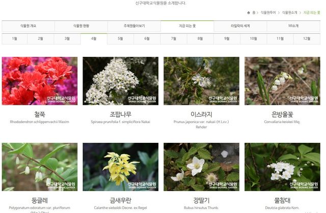 신구대 식물원 4월 꽃 종류 / 신구대학교 식물원 홈페이지&nbsp;